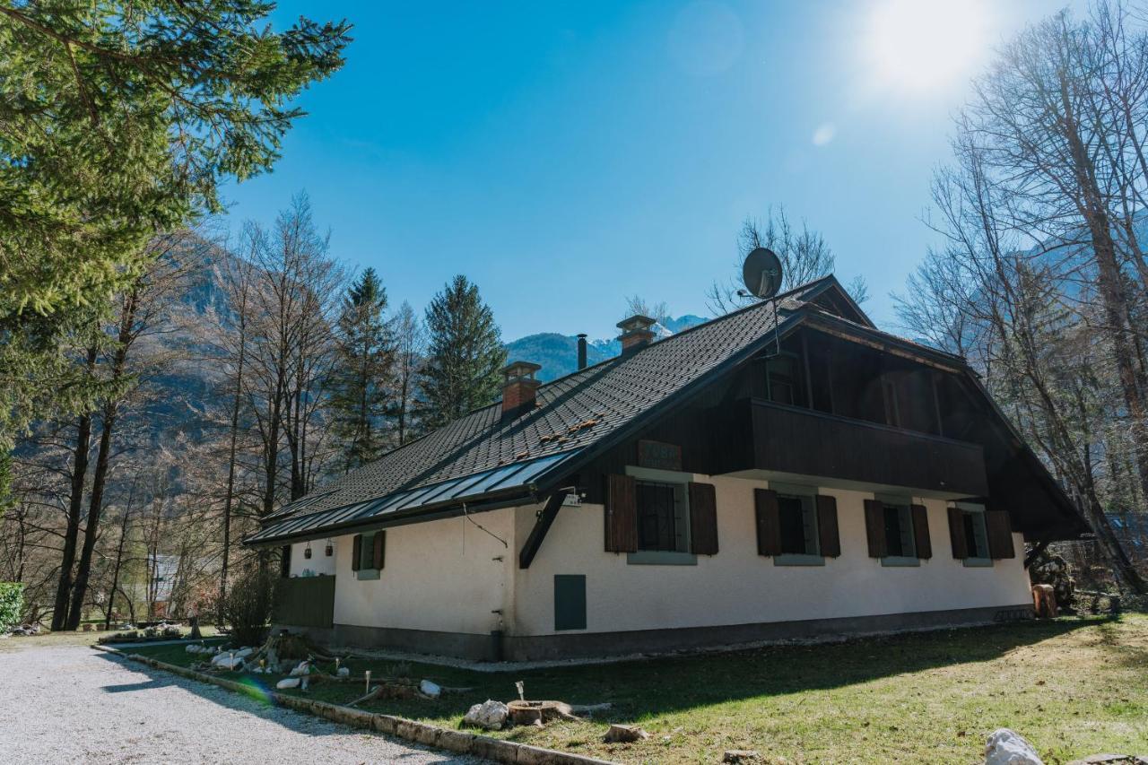 Tuba Apartma *